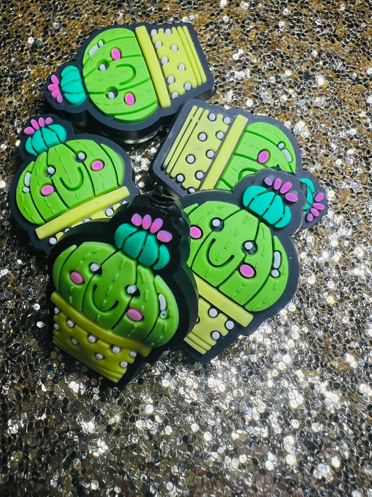 Cactus Focal