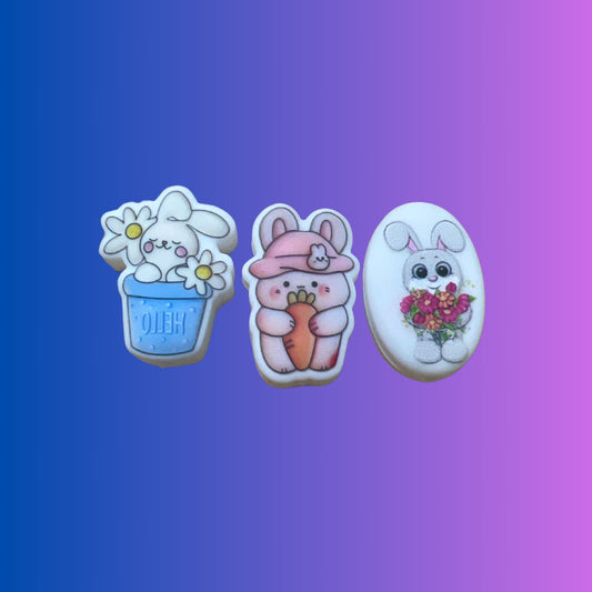 Bunny Easter Focals