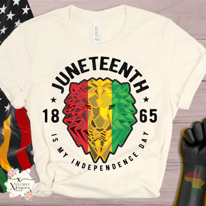 Black History & Juneteeth, DTF P2O