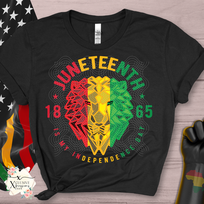 Black History & Juneteeth, DTF P2O